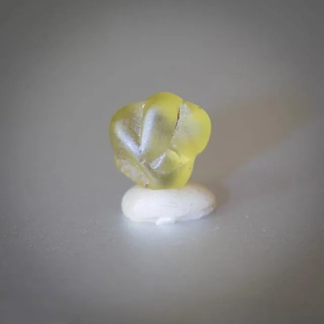 An image of a chrysoberyl crystal specimen. The crystal has a unique five-petal shape, resembling the foot of the Maitreya Buddha. Its color is yellowish-green, and it represents one of the distinctive crystal habits found in natural chrysoberyl.