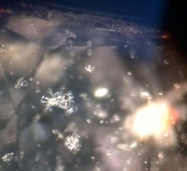 Natural unheated Madagascar pink sapphire showing numerous zircon inclusions in various shapes