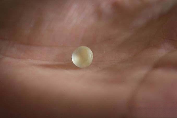 Rough yellow sapphire roughly shaped into a circular form.