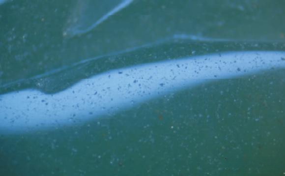 Dulong Jade Polished Surface Under Magnification - Coarse-grained texture showing visible pitting and natural imperfections on the polished surface.
