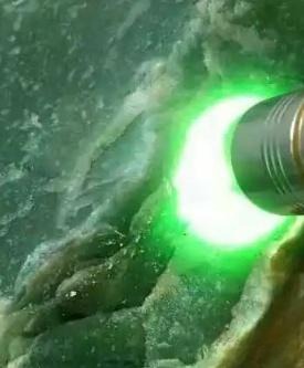 Dulong Jade Rough Under Light - The green color originates from chromium-rich mica inclusions distributed between the quartz grains in the stone.
