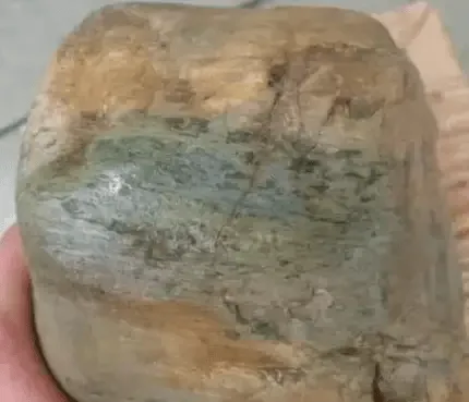 Jadeite rough stone showing mang pattern — green vein bands visible in the weathered crust, indicating jadeite color distribution trends.