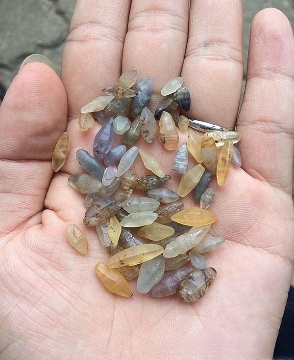 A hand holding a selection of natural, unheated corundum rough stone specimens, illustrating the original form and characteristics of the material before cutting.