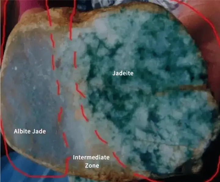 Cross-section of a jade rough showing Jadeite (right), Albite Jade (left), and the transition zone between them.