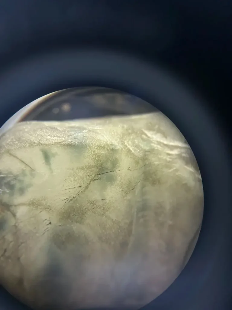 A 10x magnified view of Albite Jade, revealing its granular structure and characteristic white "water bubble" inclusions (Shuimozi).