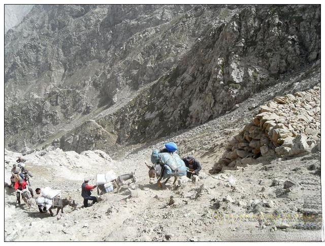 Donkeys and miners transporting raw Hetian jade down steep Kunlun mountain paths.