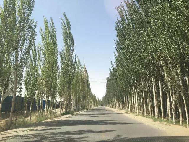 View of the remote asphalt road leading through the Xinjiang countryside toward the unofficial Mariyan Hetian Jade market.