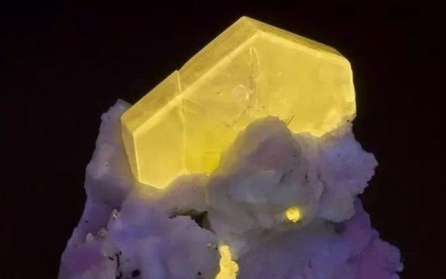 Apatite gemstones under ultraviolet light exhibiting fluorescence in yellow, blue, green, and purple varieties.