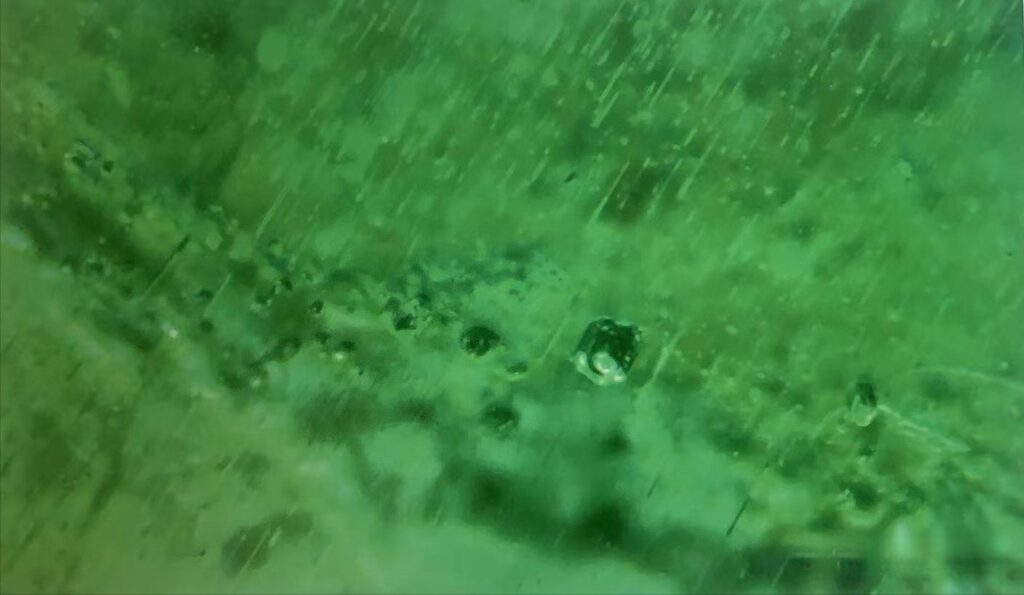 Microscopic shot of abundant fluid inclusions and irregular cavities within a green Brazilian emerald.