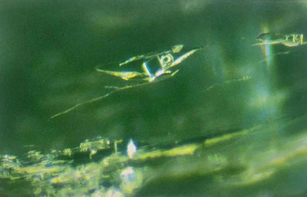 Microscopic view of Colombian emerald showing a cavity with gas, liquid, and solid three-phase inclusions.