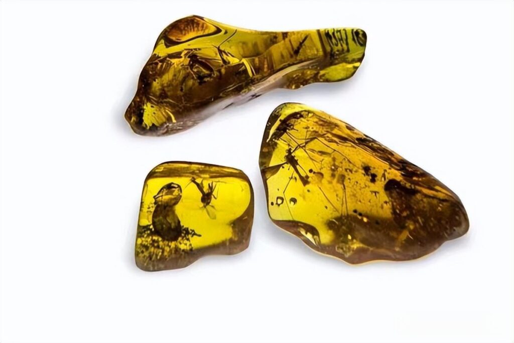 Exhibit of Russian Baltic amber at Kaliningrad Museum, showing large golden yellow amber pieces.