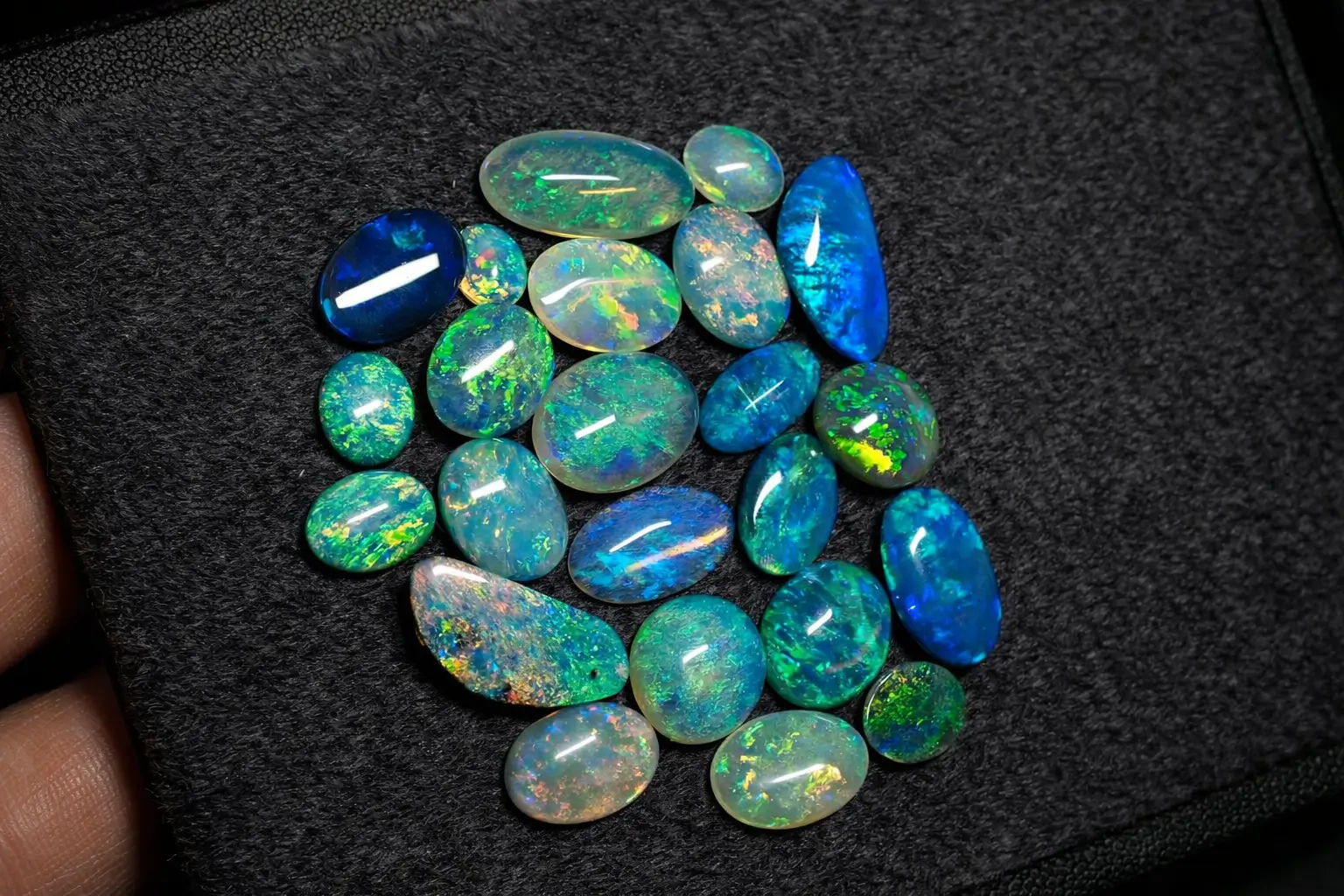 A diverse group of natural opals including Australian Black Opal, Mexican Fire Opal, and Ethiopian Welo Opal showing vivid play-of-color.