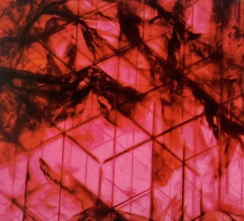 Microscopic view of diaspore needles in a Thai ruby, a diagnostic feature of these Thailand gemstones.