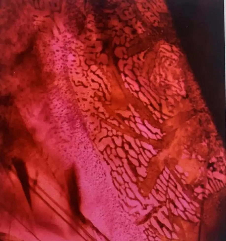 Microscopic view of healed fissures filled with yellowish-brown secondary minerals in a Thai ruby.